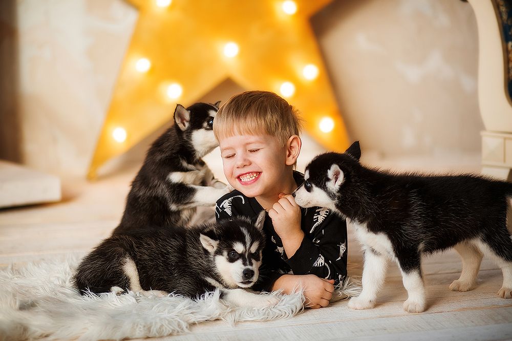 Непосредственность