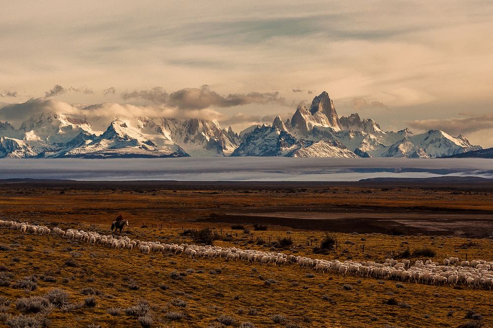 Preparando la invernada