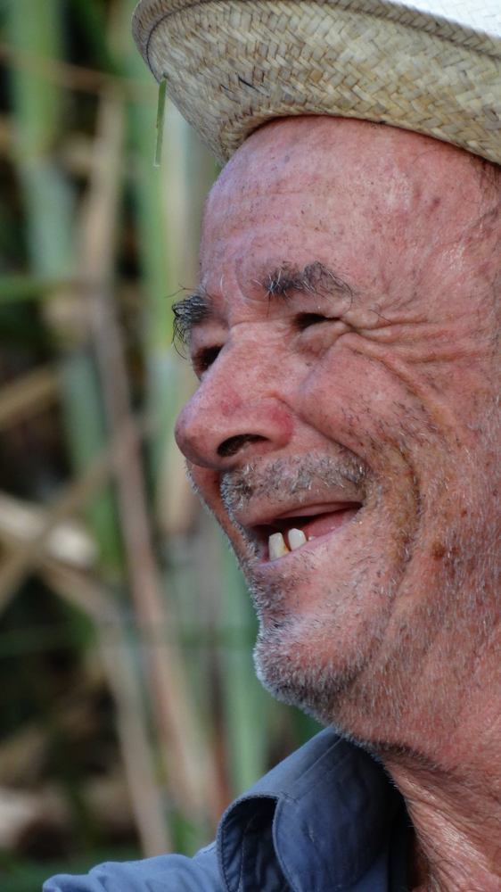 SUGAR CANE WORKER