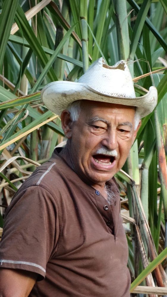 HAPPY SUGAR CANE CUTTER