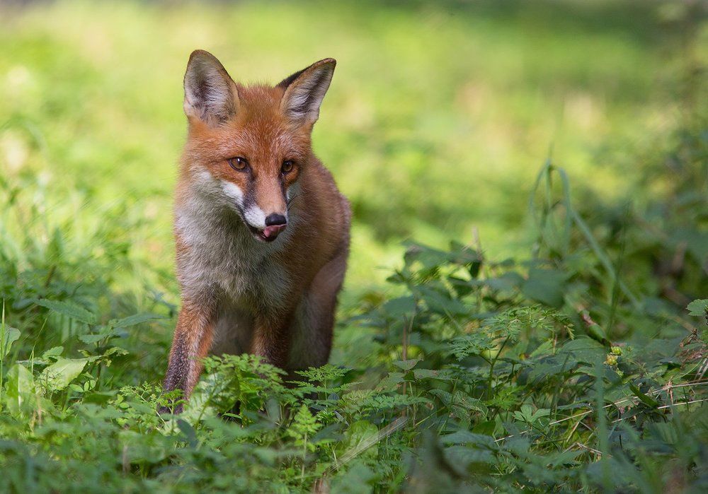 Photograph by Марина