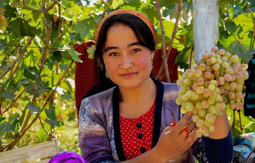 Сборщица винограда