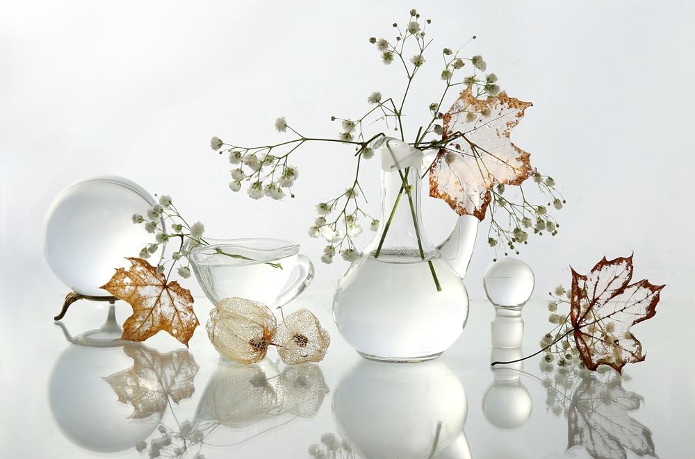 Прозрачная осень