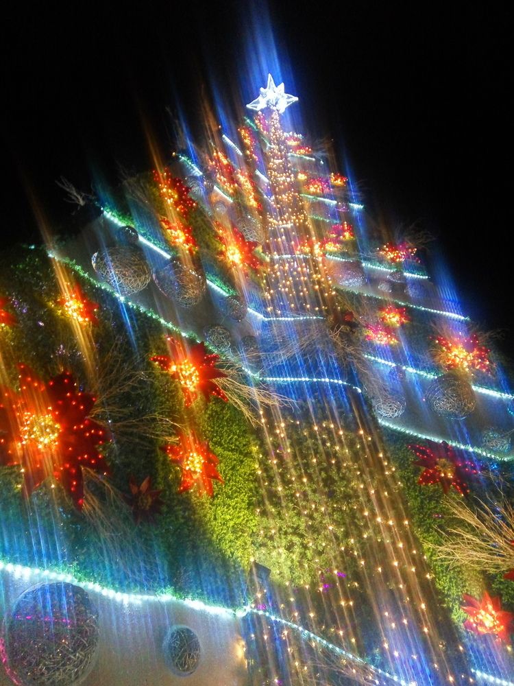 "Pasko" (Christmas)