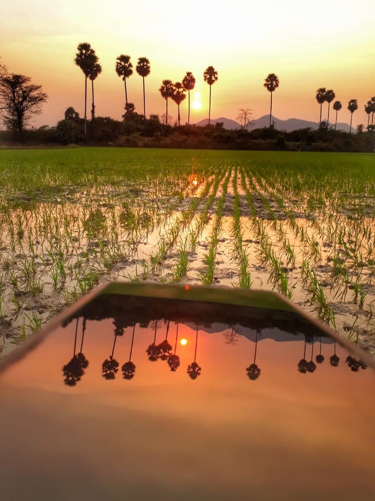 Reflection