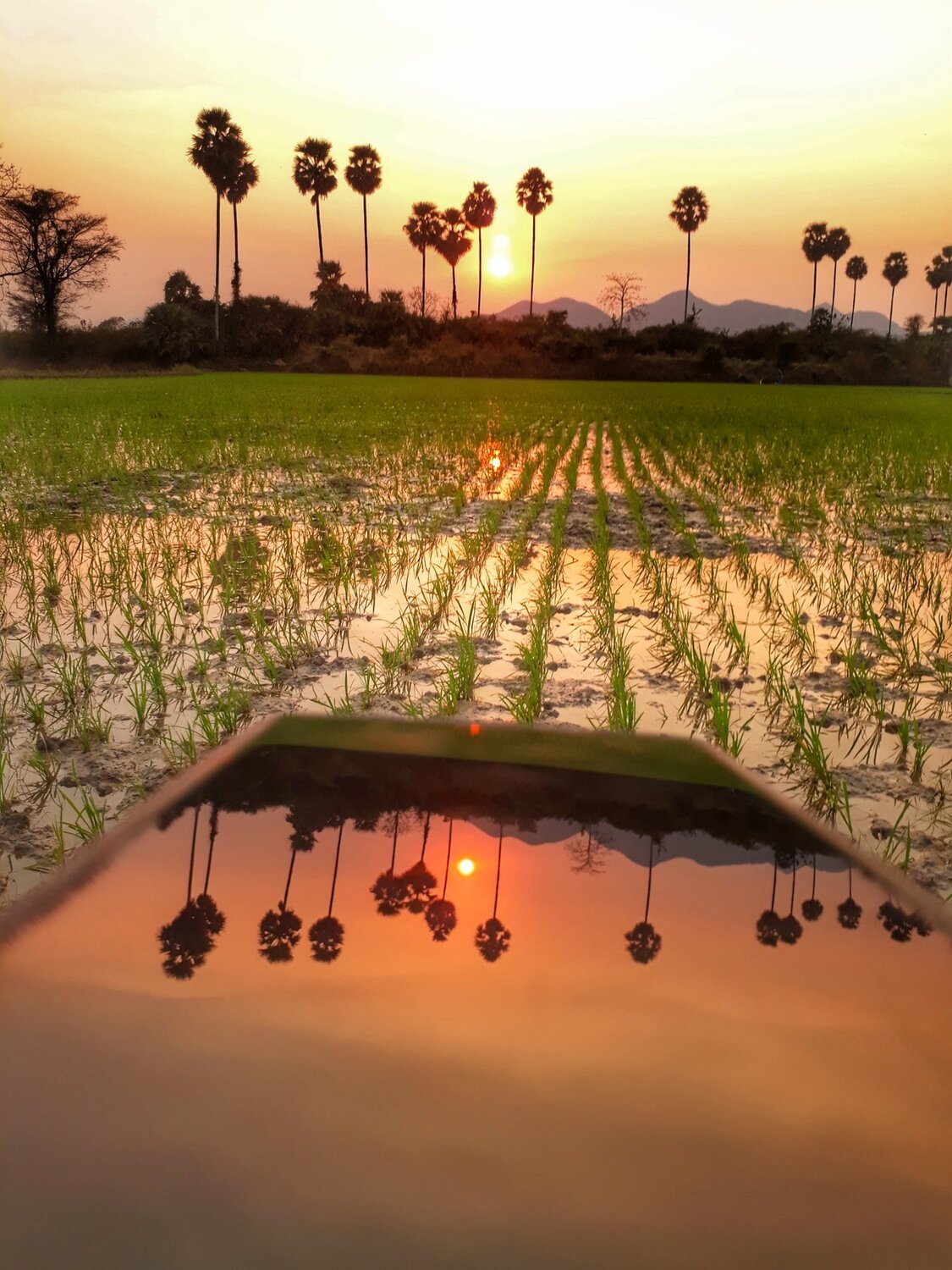 Reflection