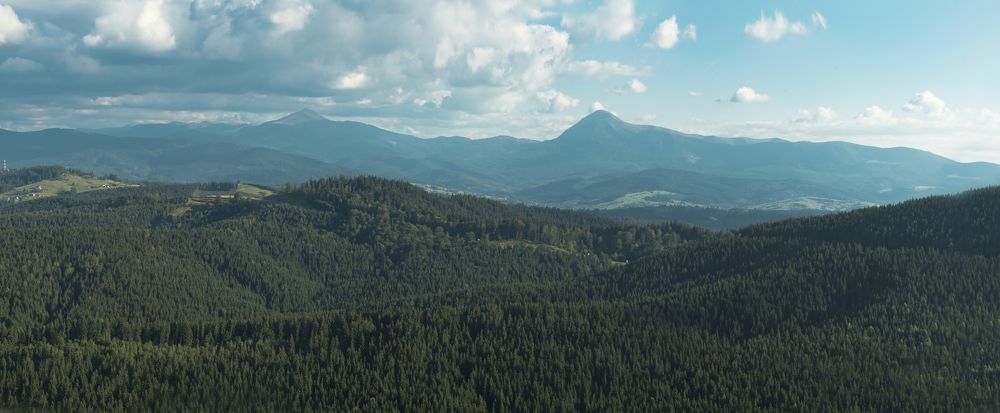 Photograph by ANekrasov