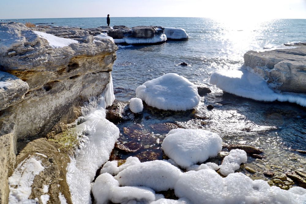 Каспийский берег