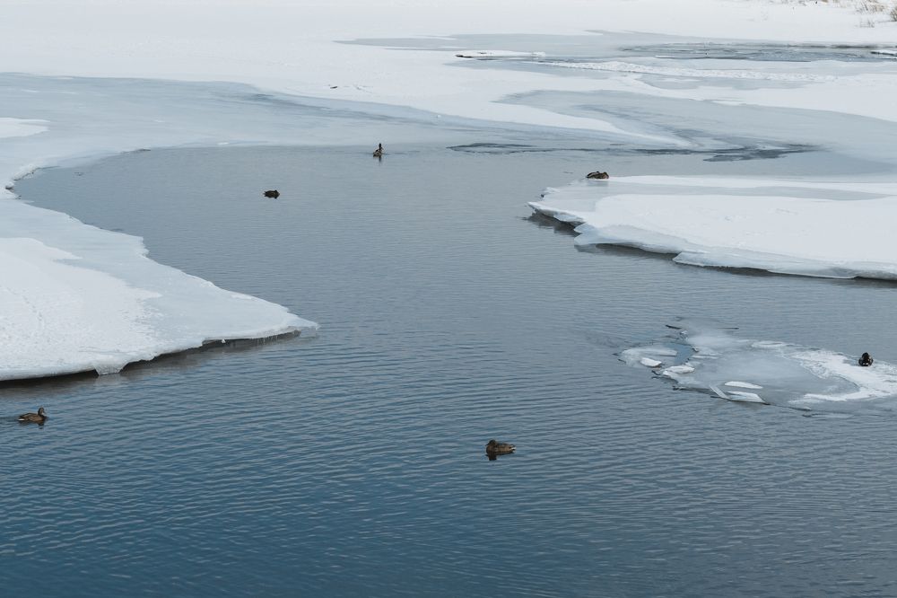 Красноярская Антарктида