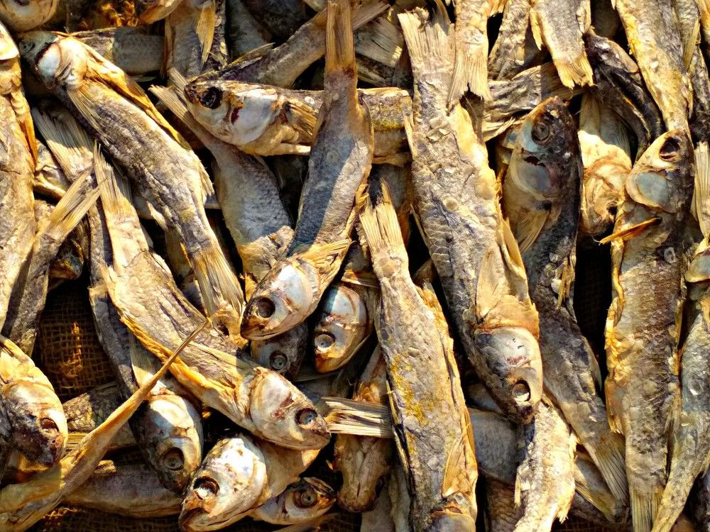DRY FISH