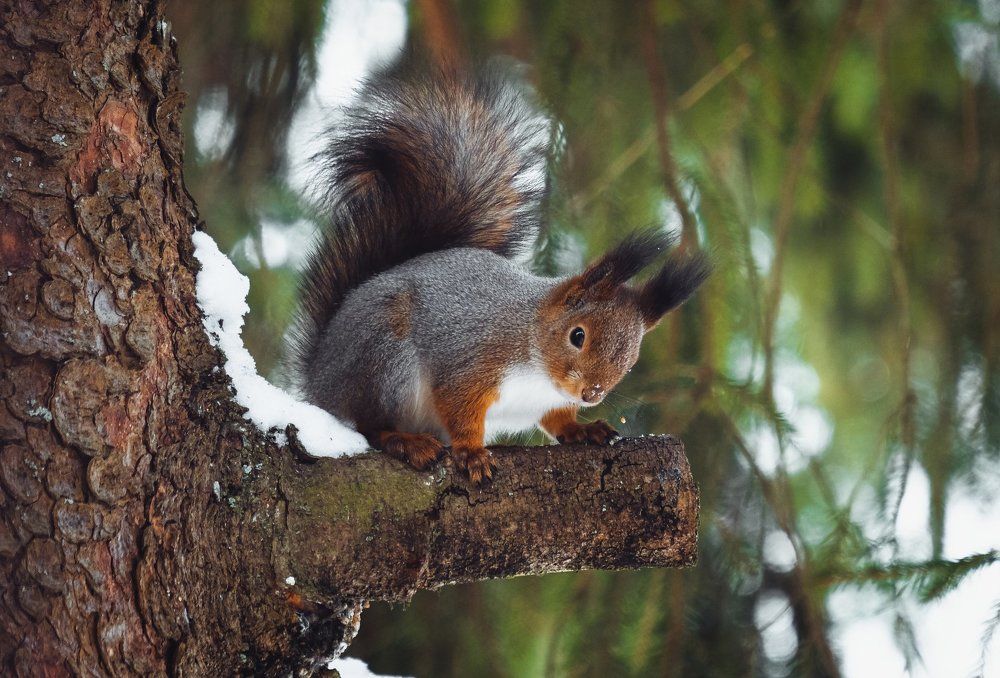 Photograph by Екатерина