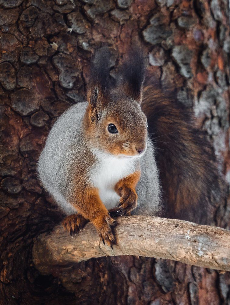 Photograph by Екатерина