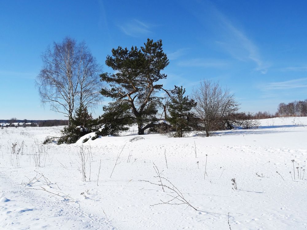 Зима на севере