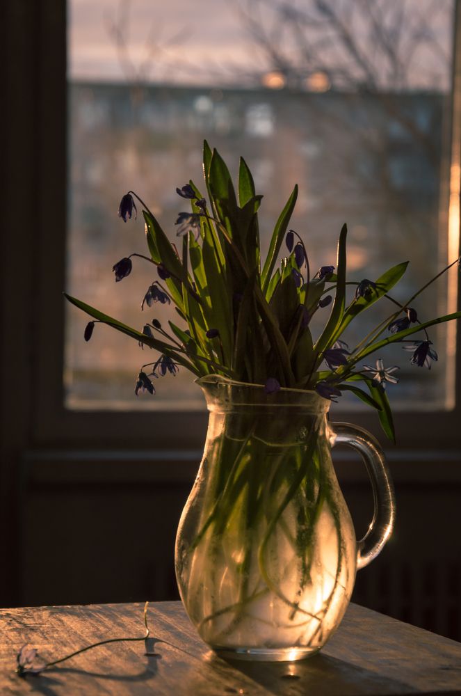 Весеннее утро