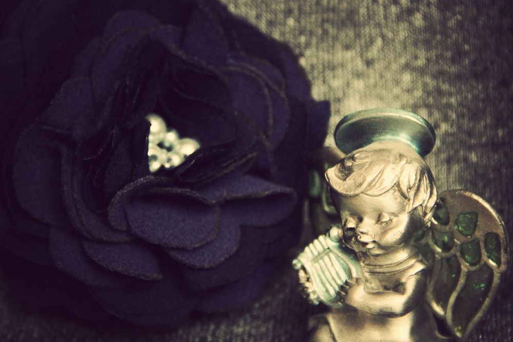 Роза и ангел.