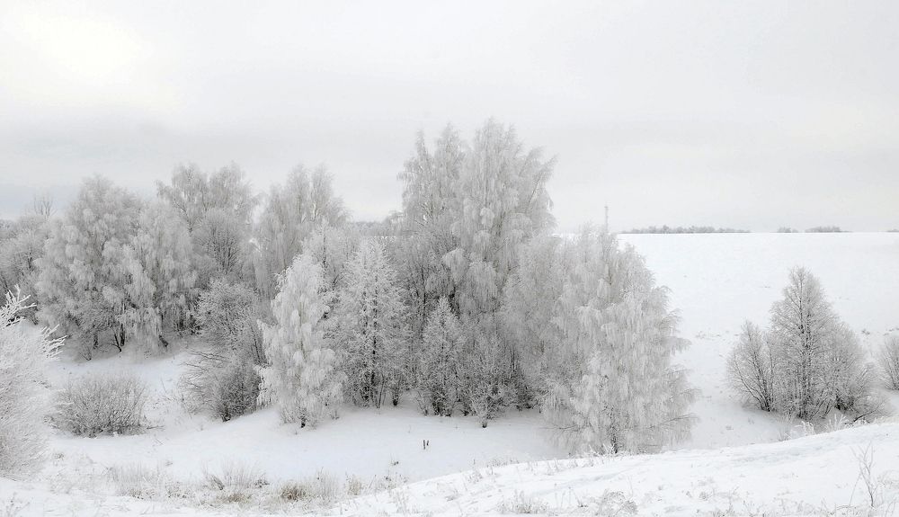 Зимняя симфония