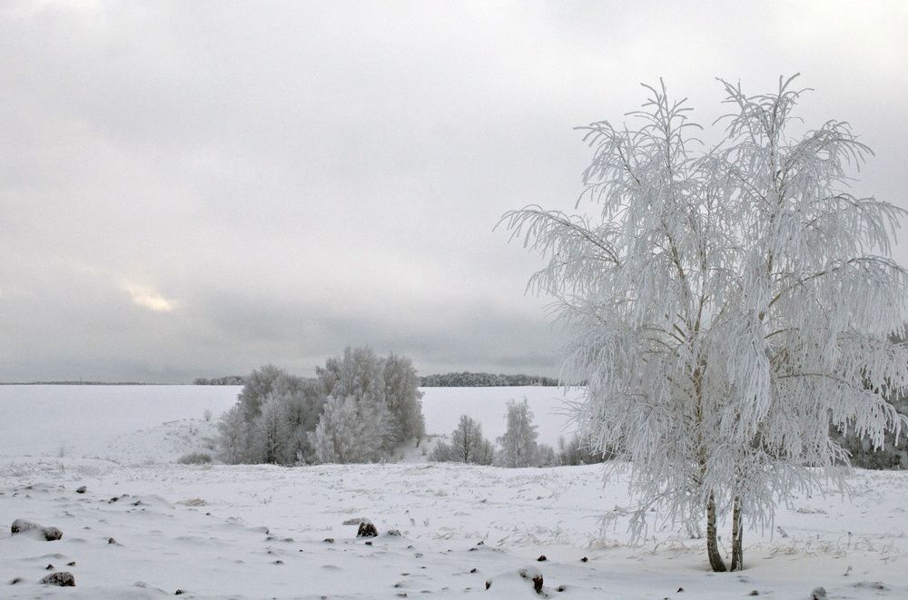 На просторах России