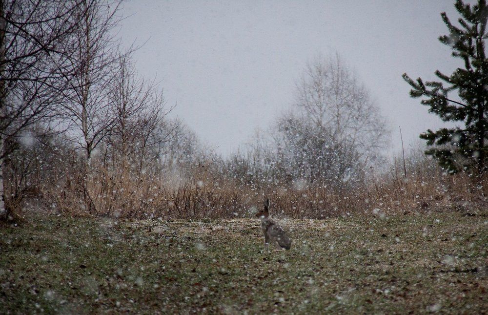 Photograph by Анна Евсеева