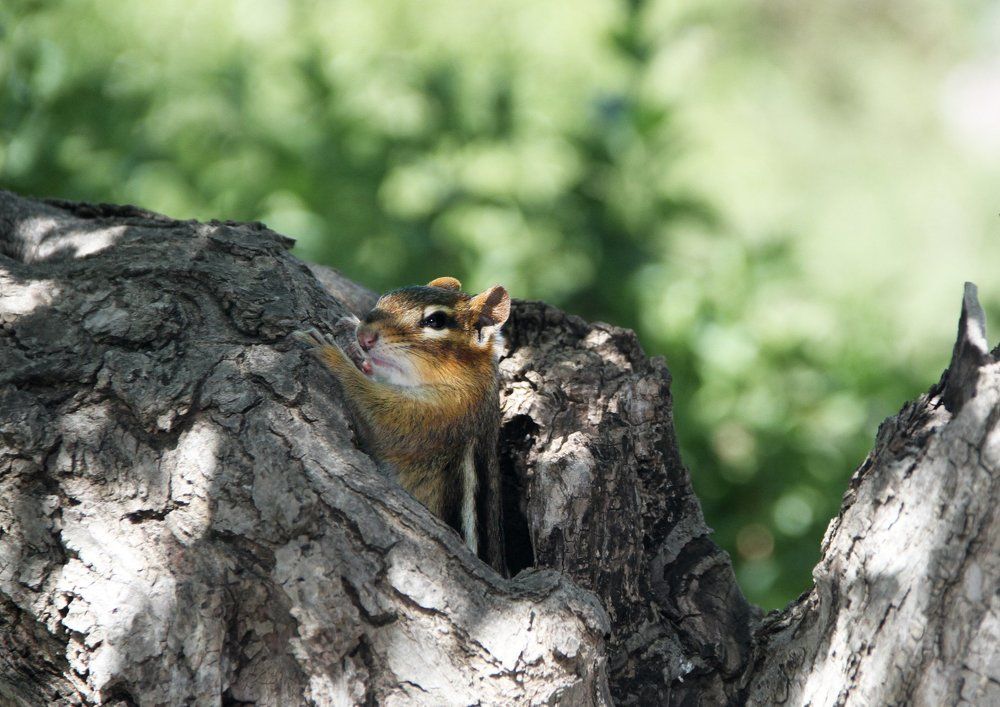 Do you have something for me?