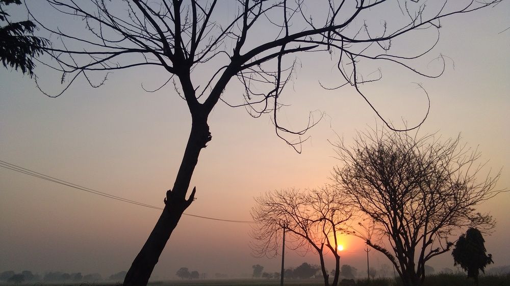 #nature