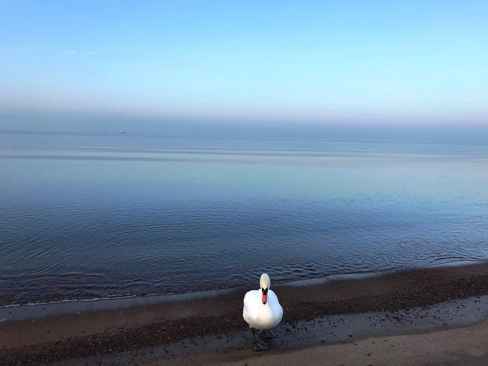 Одиночество