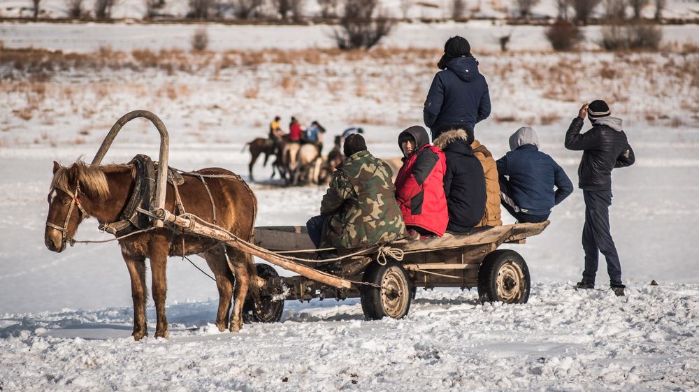 Наблюдатели