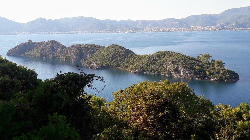 Остров Крокодил