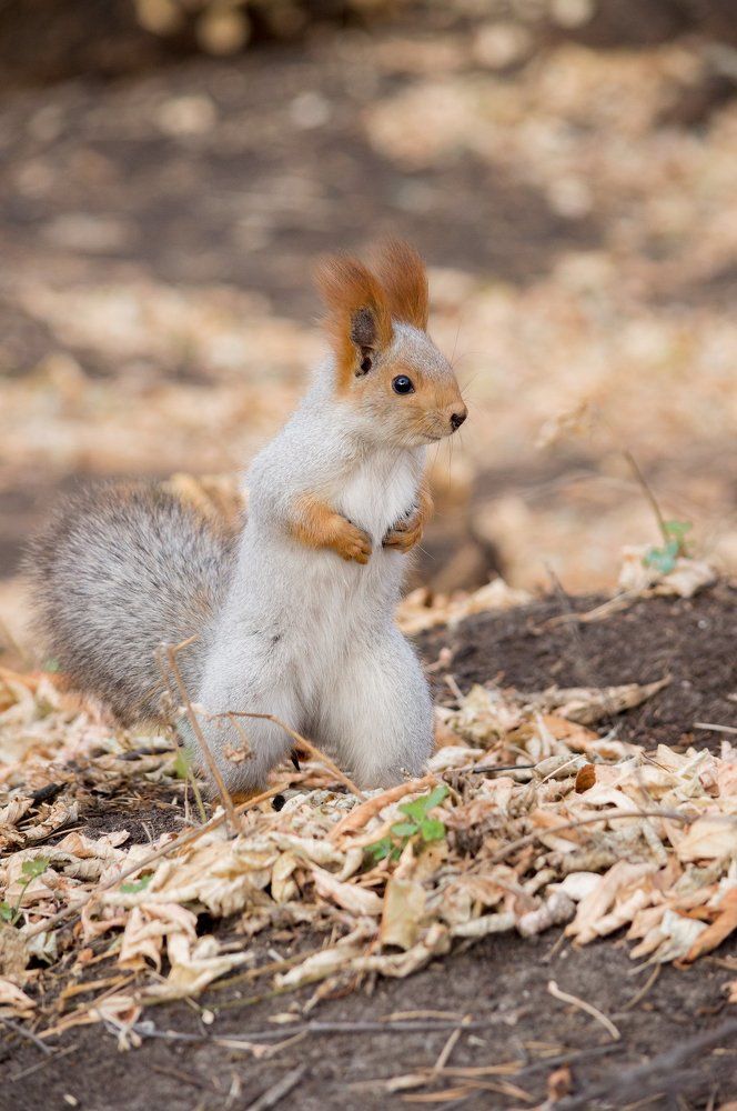Photograph by Андрей Красников