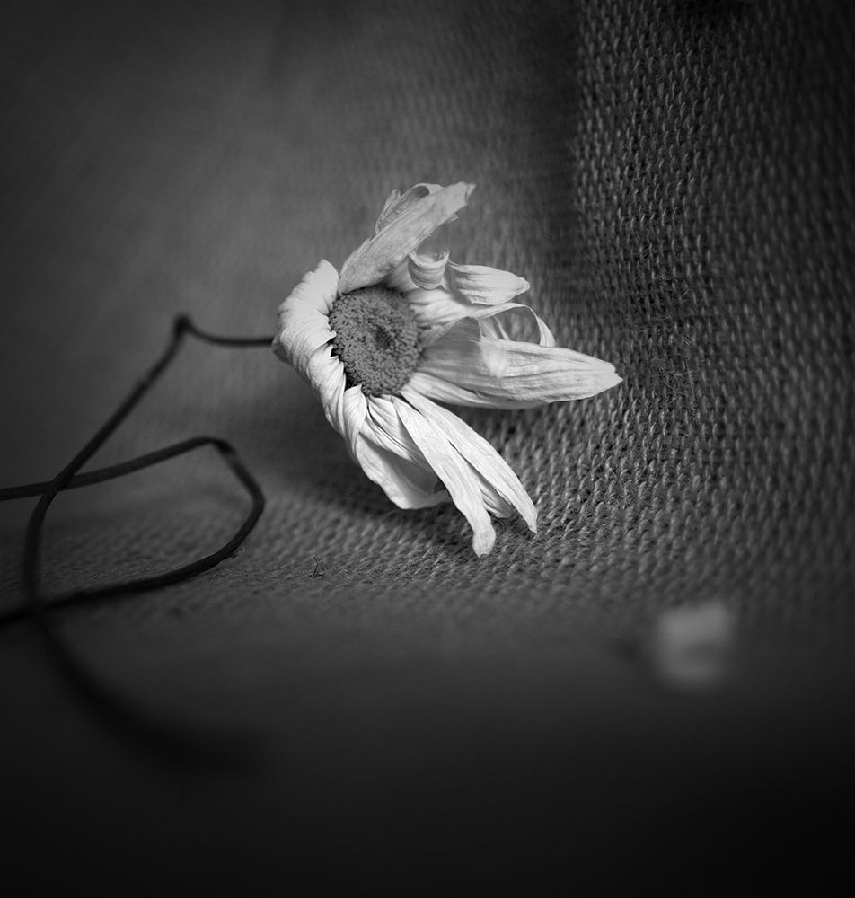 Photograph by Анна Кудрявцева