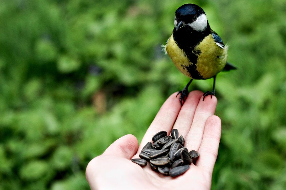 Наедине с природой