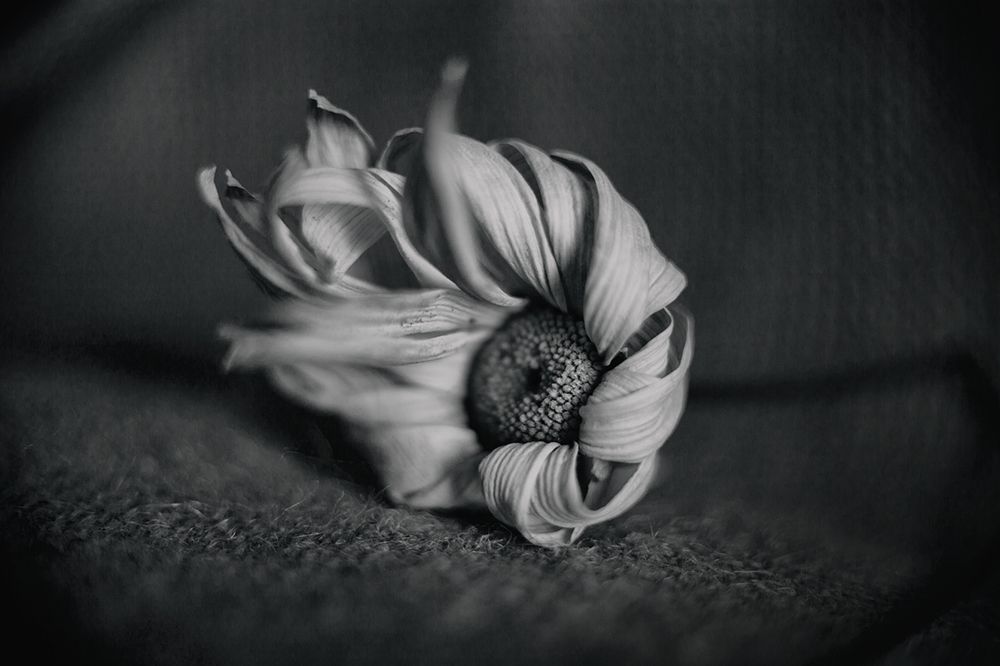 Photograph by Анна Кудрявцева