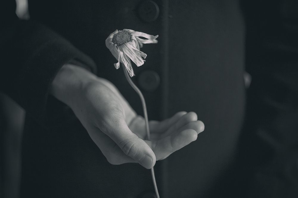 Photograph by Анна Кудрявцева