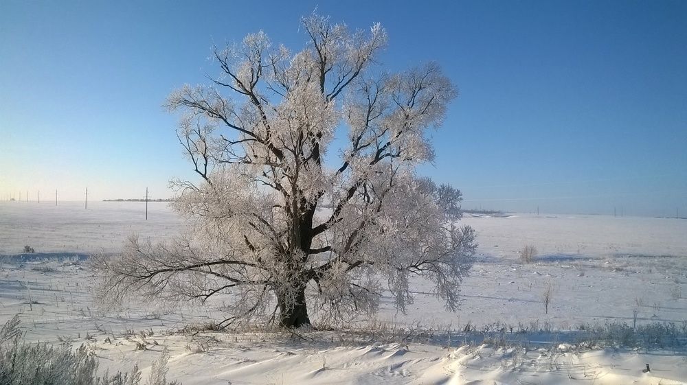 в бело-голубом