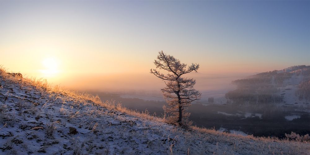 Тридцать градусов
