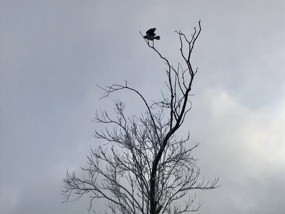 Одиночество