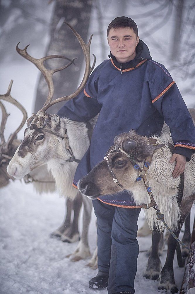 погонщик северных оленей