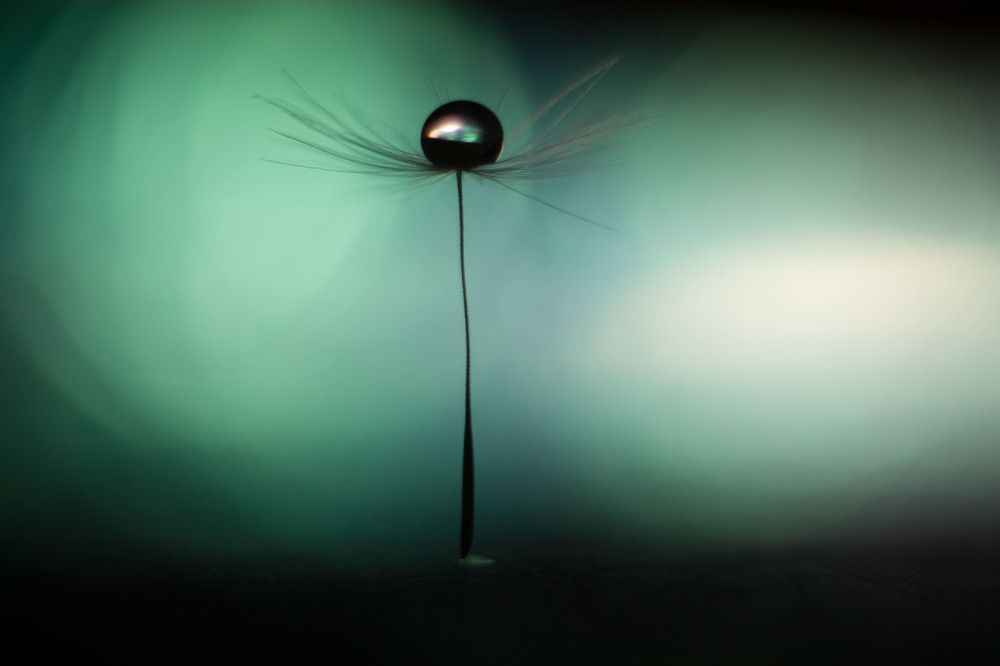 Photograph by Викулов Николай