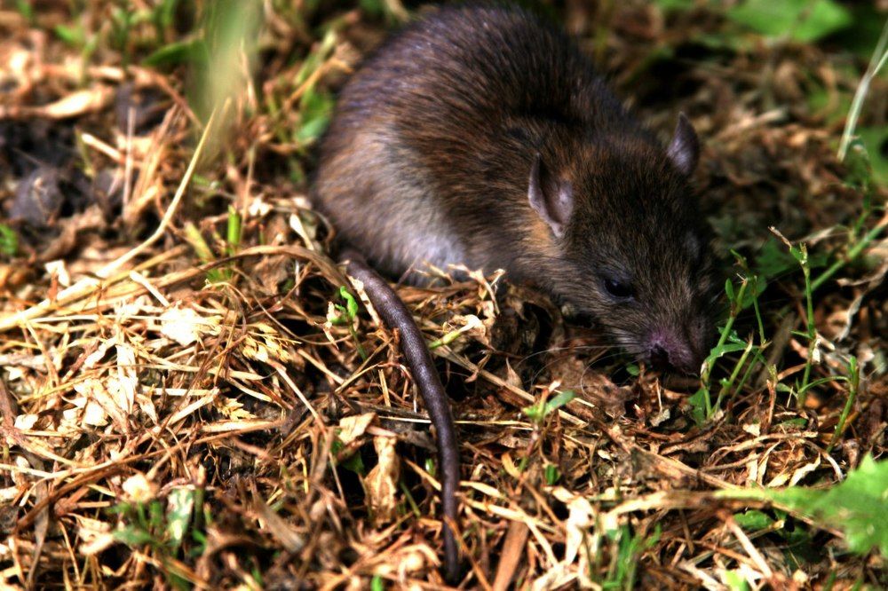 на грани смерти