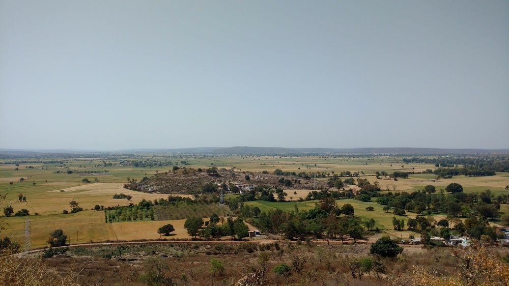 Lush Green Grassland