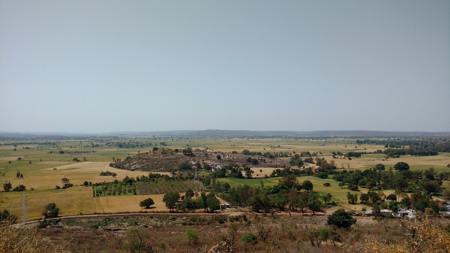 Lush Green Grassland