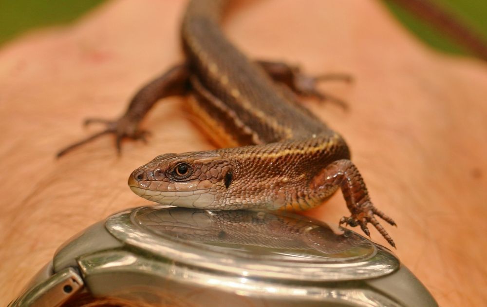 Photograph by Алексей Федулов