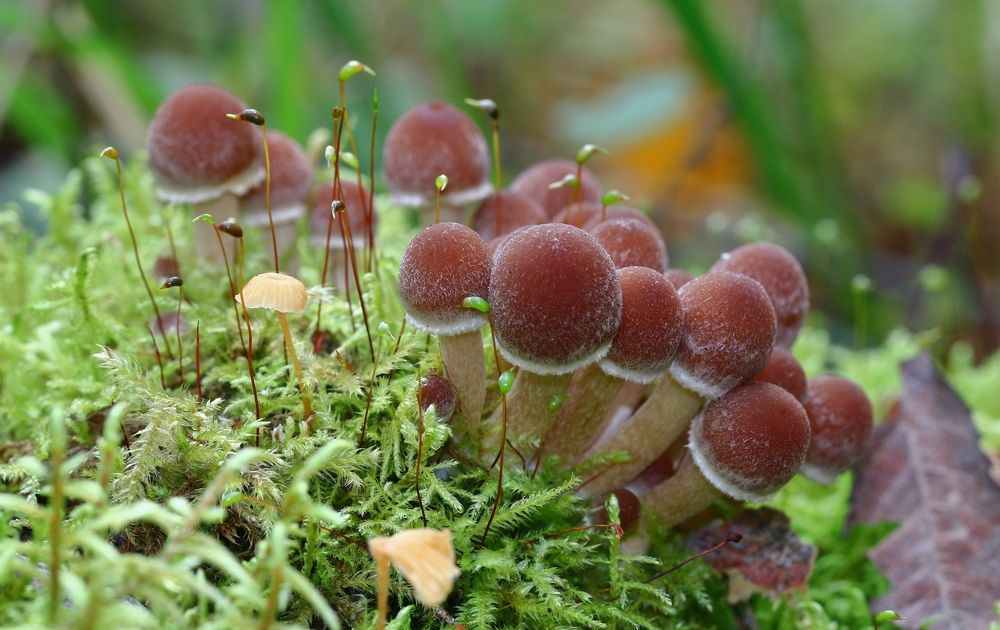 Photograph by Алексей Федулов