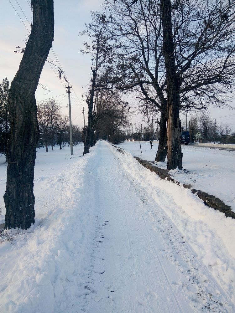 Зимний пейзаж