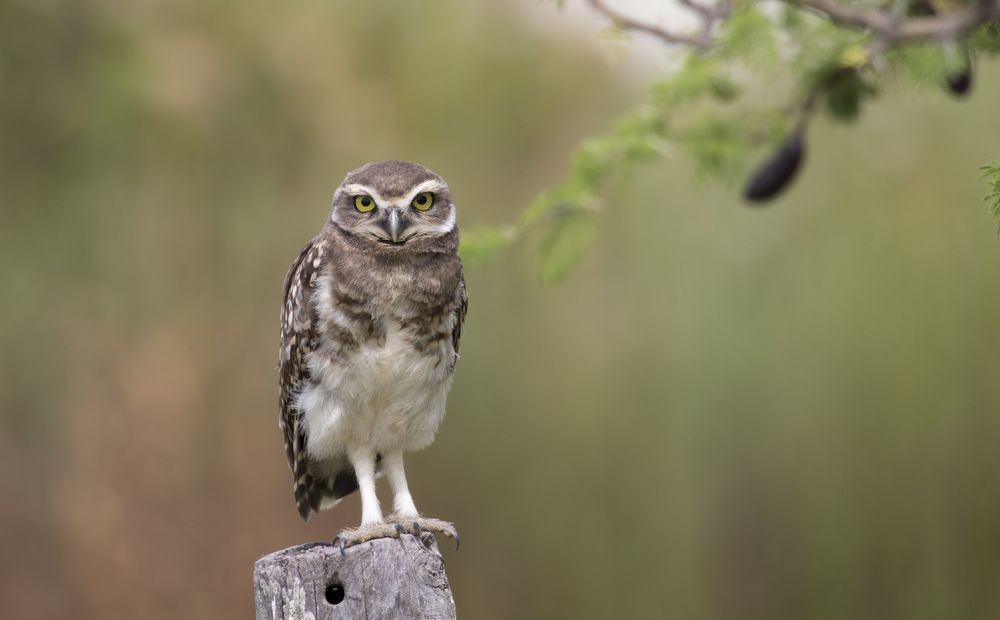 Photograph by Sergio Compañy