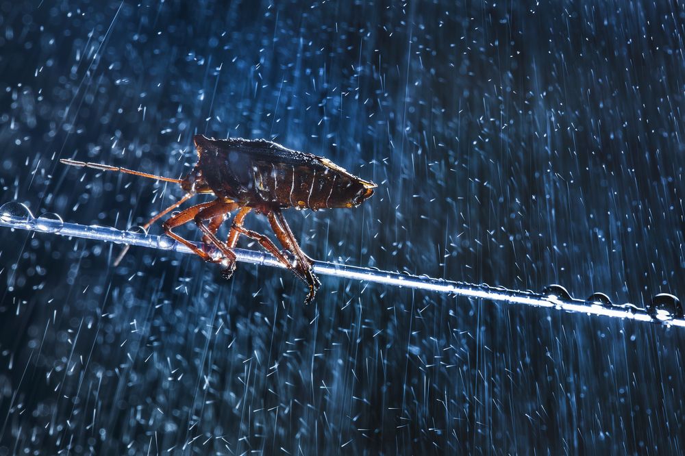 Трудности жизни