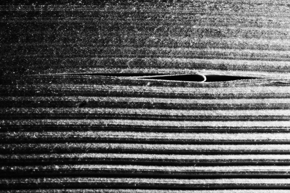 Страницы жизни