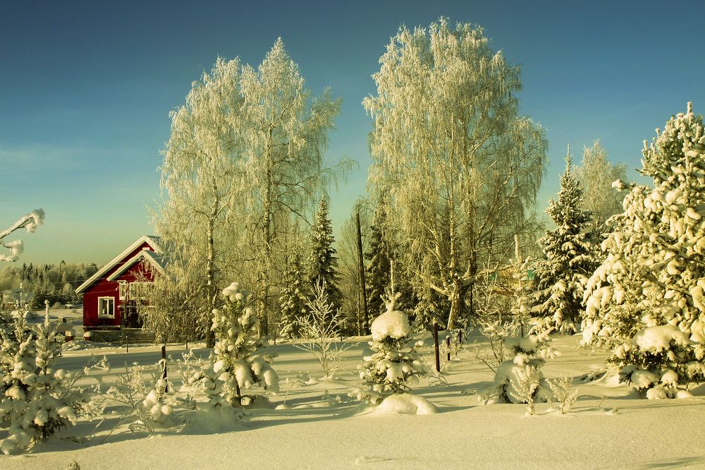 зимний день