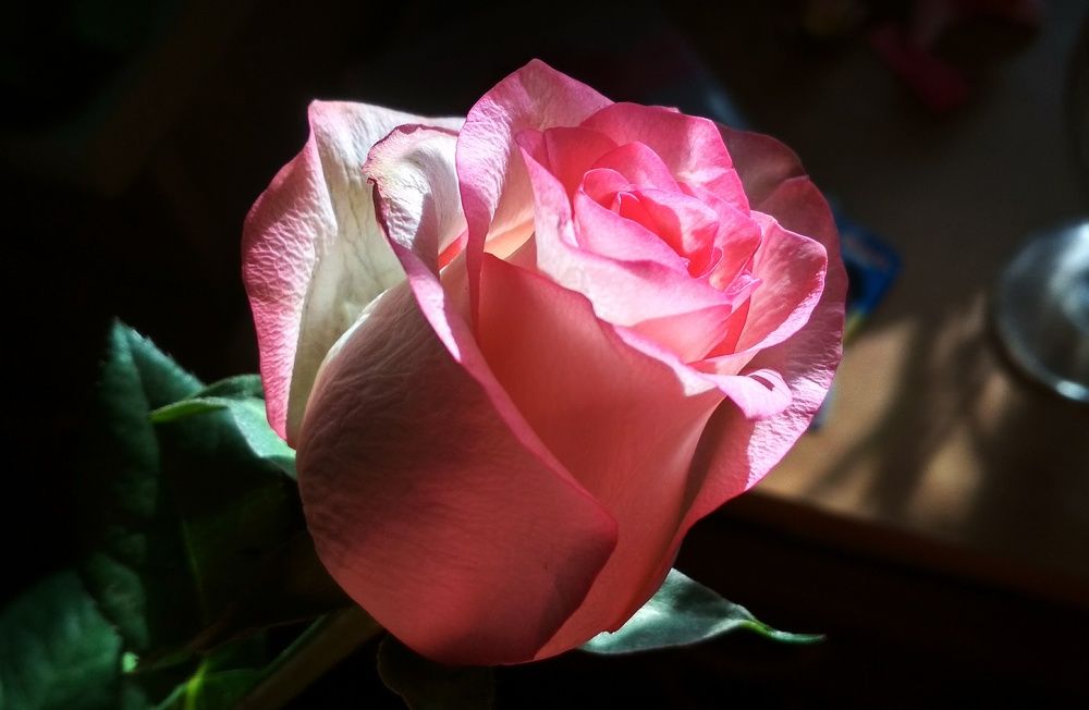 Photograph by Любовь Макарова