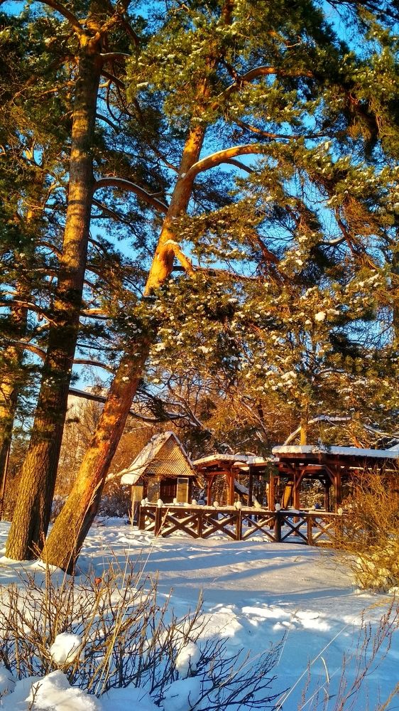 Photograph by Любовь Макарова