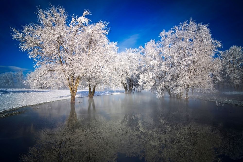 An incredible winter